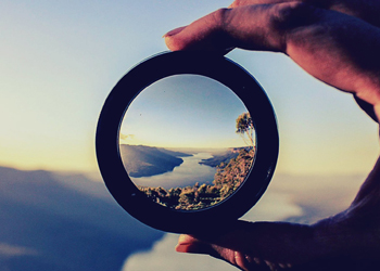 Looking into the future