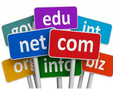Domain Name Registration Services