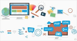 Website Development Services offered by iTransparity